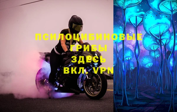 мяу мяу мука Верхнеуральск